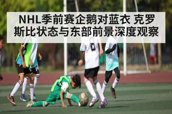 NHL季前赛企鹅对蓝衣 克罗斯比状态与东部前景深度观察 - kaiyun